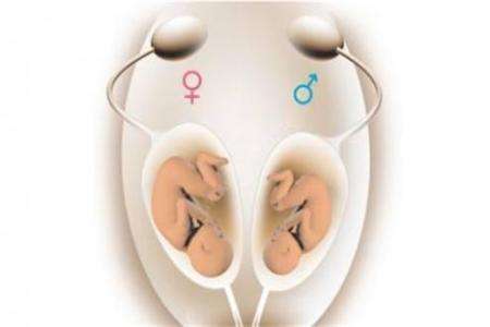 关于安悦佳妇产医院